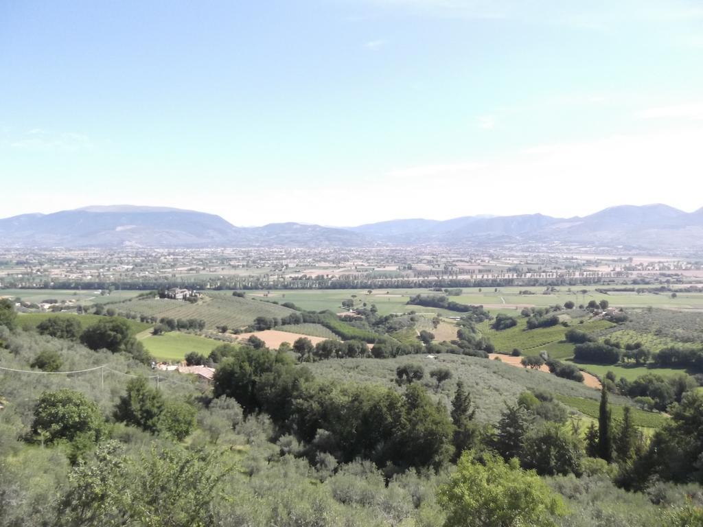 A Casa Di Mi Appartamenti Vacanza مونتيفالكو الغرفة الصورة